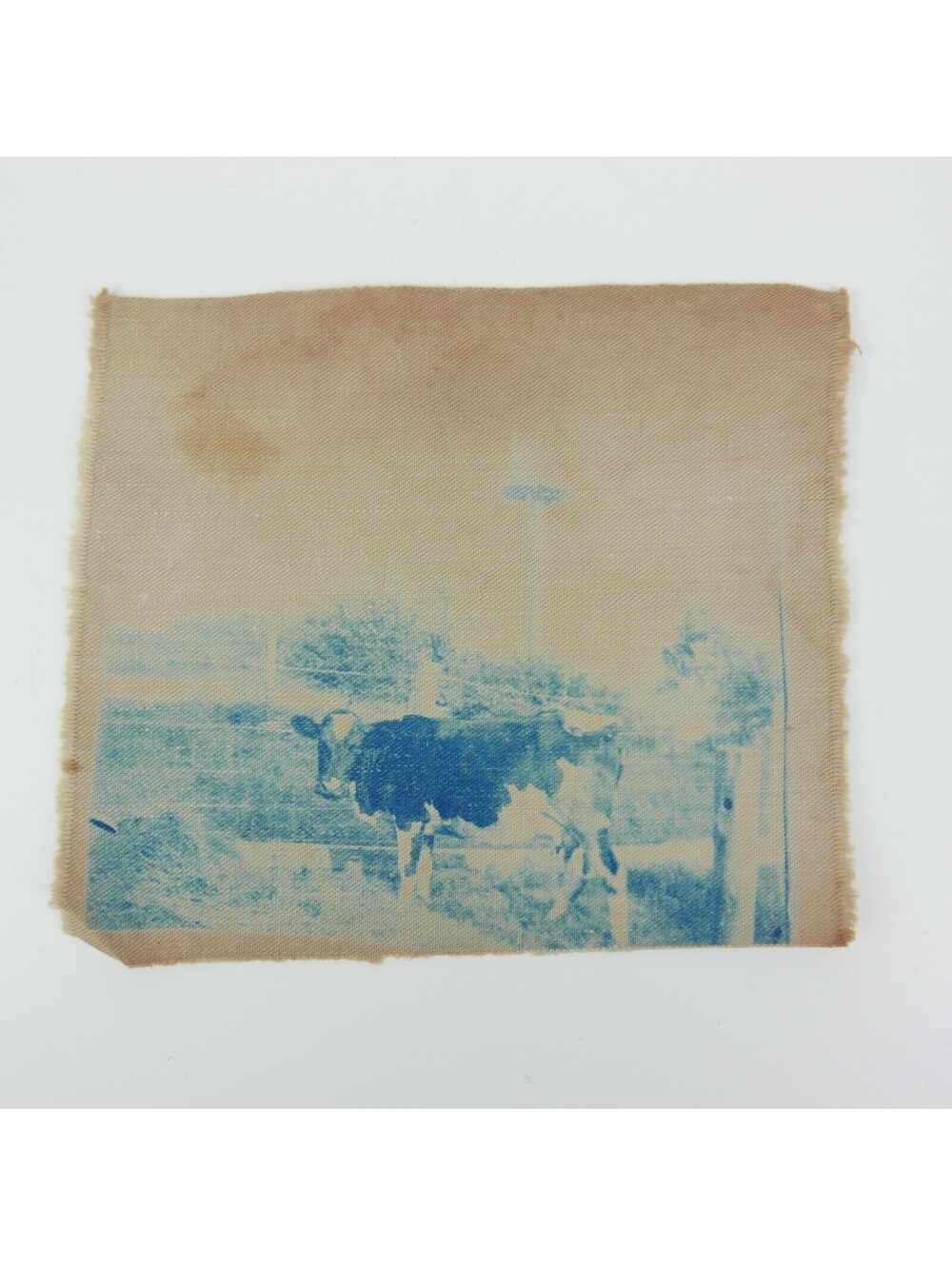 Cyanotype Photograph On Cloth Cow Standing at Fence by Water Tower Antique 1800s